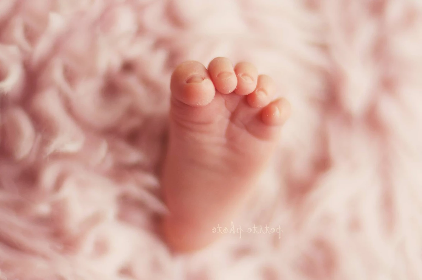 zdjęcia gdynia fotograf agnieszka-drozdz portfolio zdjecia noworodkow sesje noworodkowe niemowlę