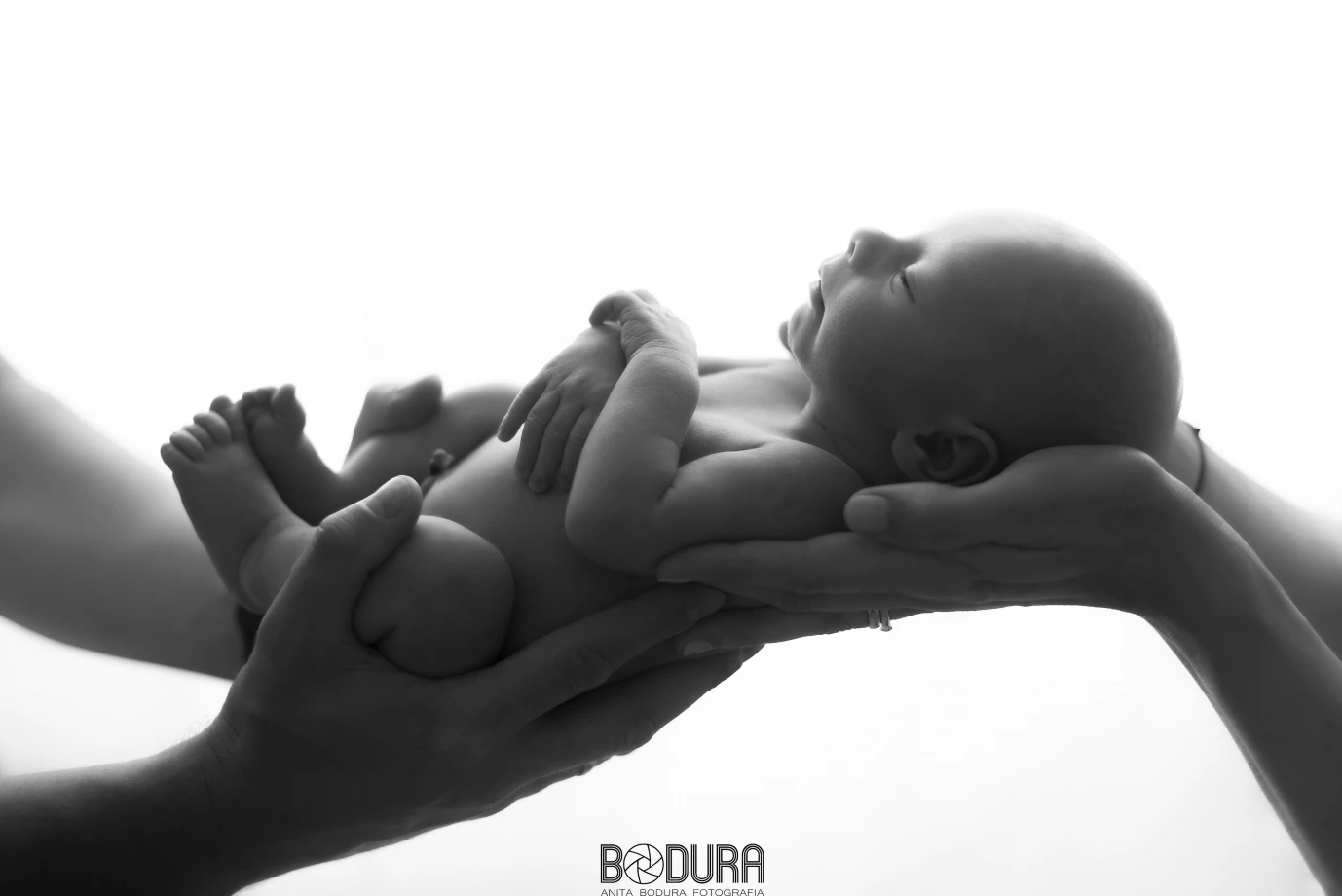 fotograf wroclaw anita-bodura portfolio zdjecia noworodkow sesje noworodkowe niemowlę