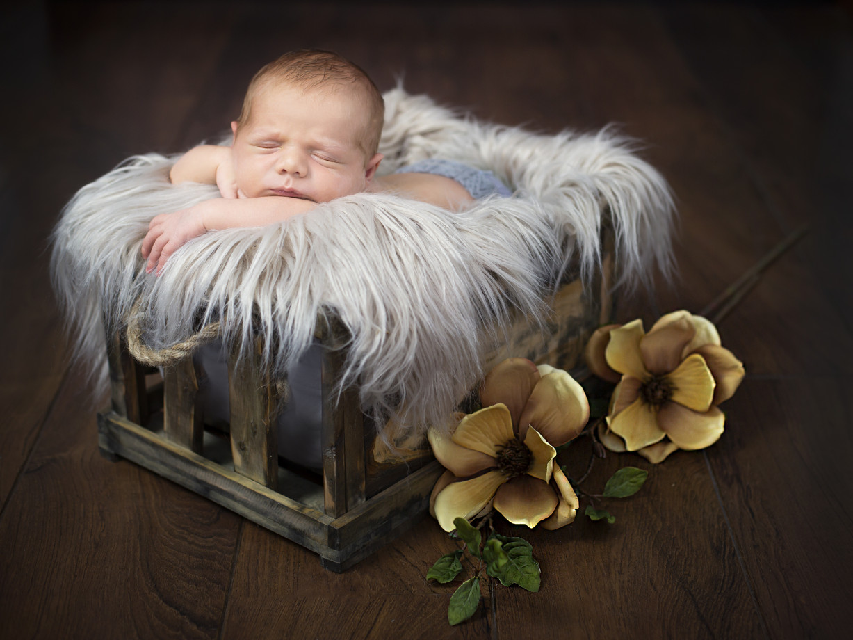 zdjęcia wroclaw fotograf cute-and-cool-photography portfolio zdjecia noworodkow sesje noworodkowe niemowlę