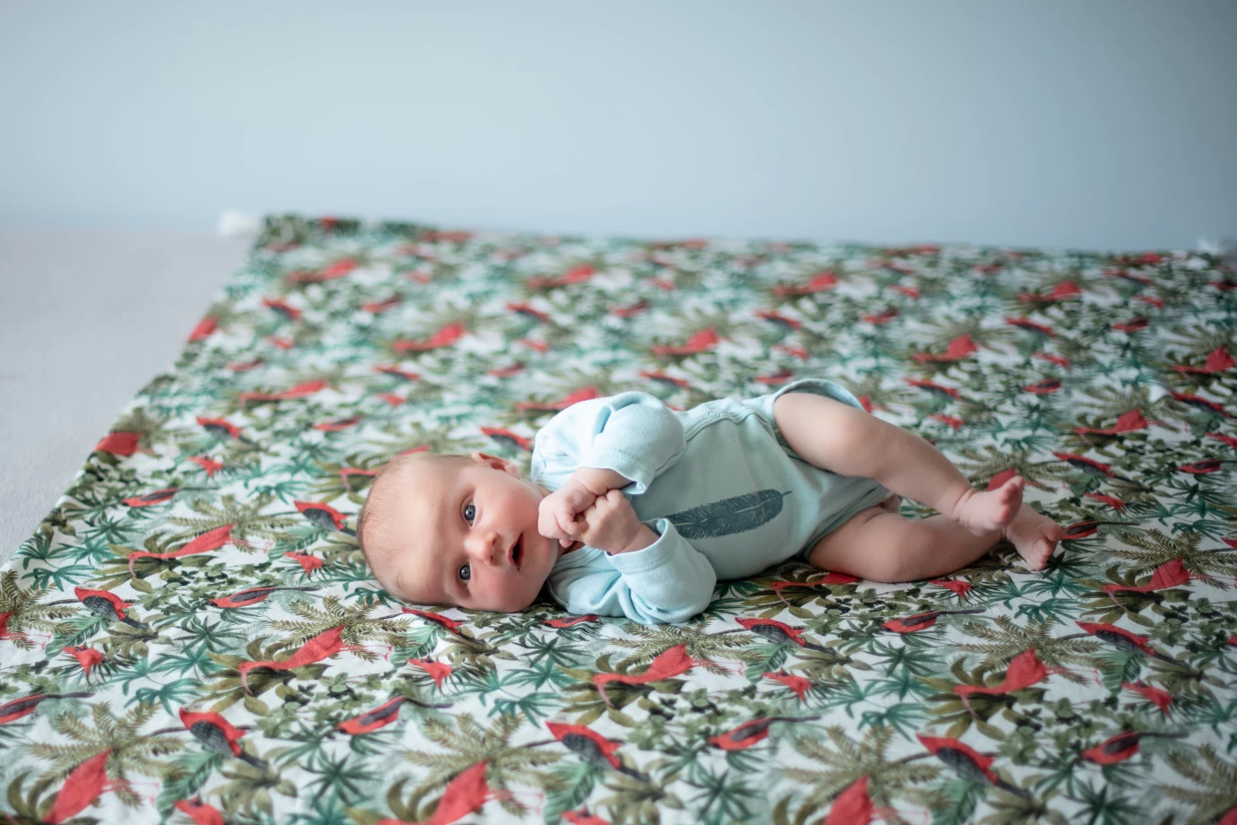 fotograf warszawa malgorzata-ender portfolio zdjecia noworodkow sesje noworodkowe niemowlę
