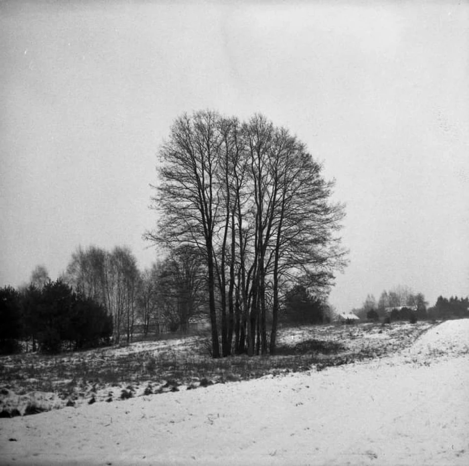 zdjęcia lodz fotograf marcin-jurkiewicz portfolio zdjecia analogowe