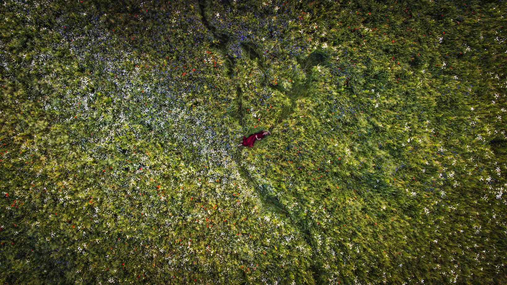 zdjęcia bialystok fotograf pawel-balejko portfolio zdjecia z dronow fotografia dronowa