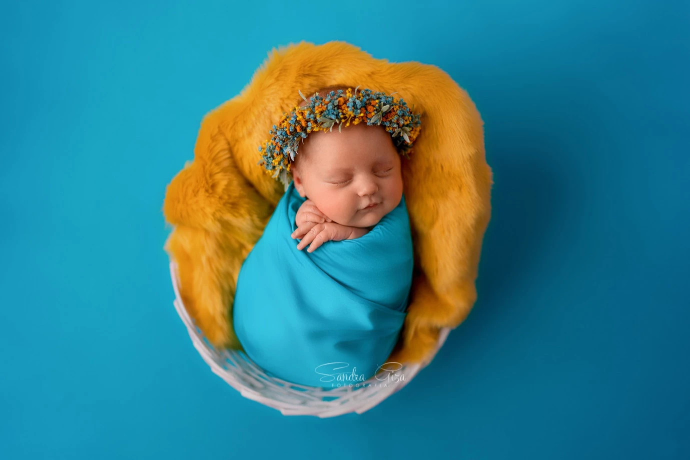 fotograf gdynia sandra-giza portfolio zdjecia noworodkow sesje noworodkowe niemowlę