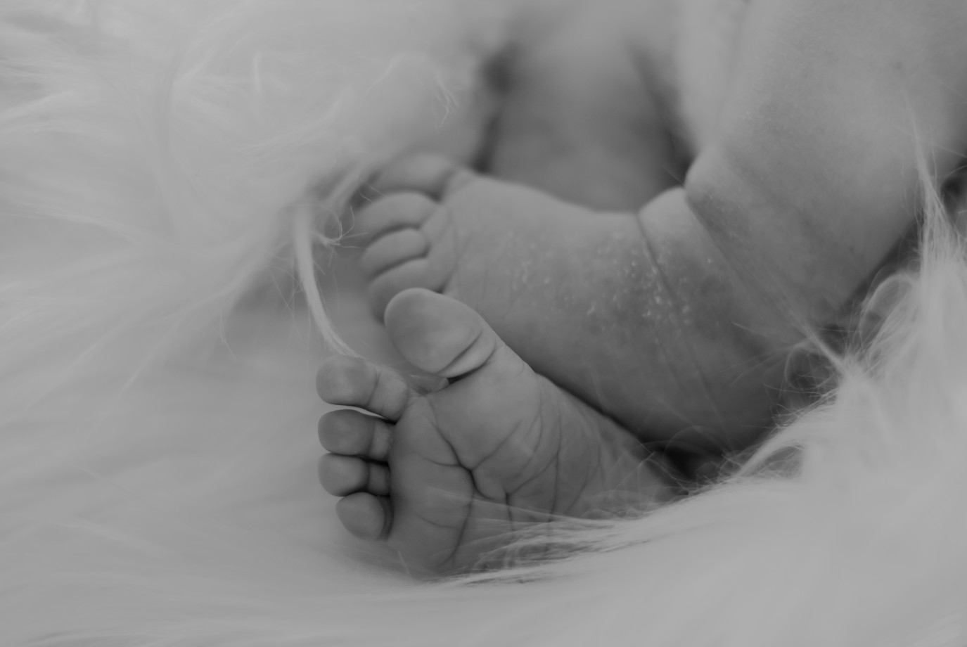 zdjęcia ledziny fotograf w-obiektywie-violi portfolio zdjecia noworodkow sesje noworodkowe niemowlę