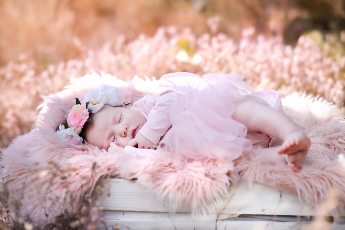 fotograf lubsko zoli-studio portfolio zdjecia noworodkow sesje noworodkowe niemowlę