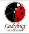 portfolio fotografa ladybug-photography