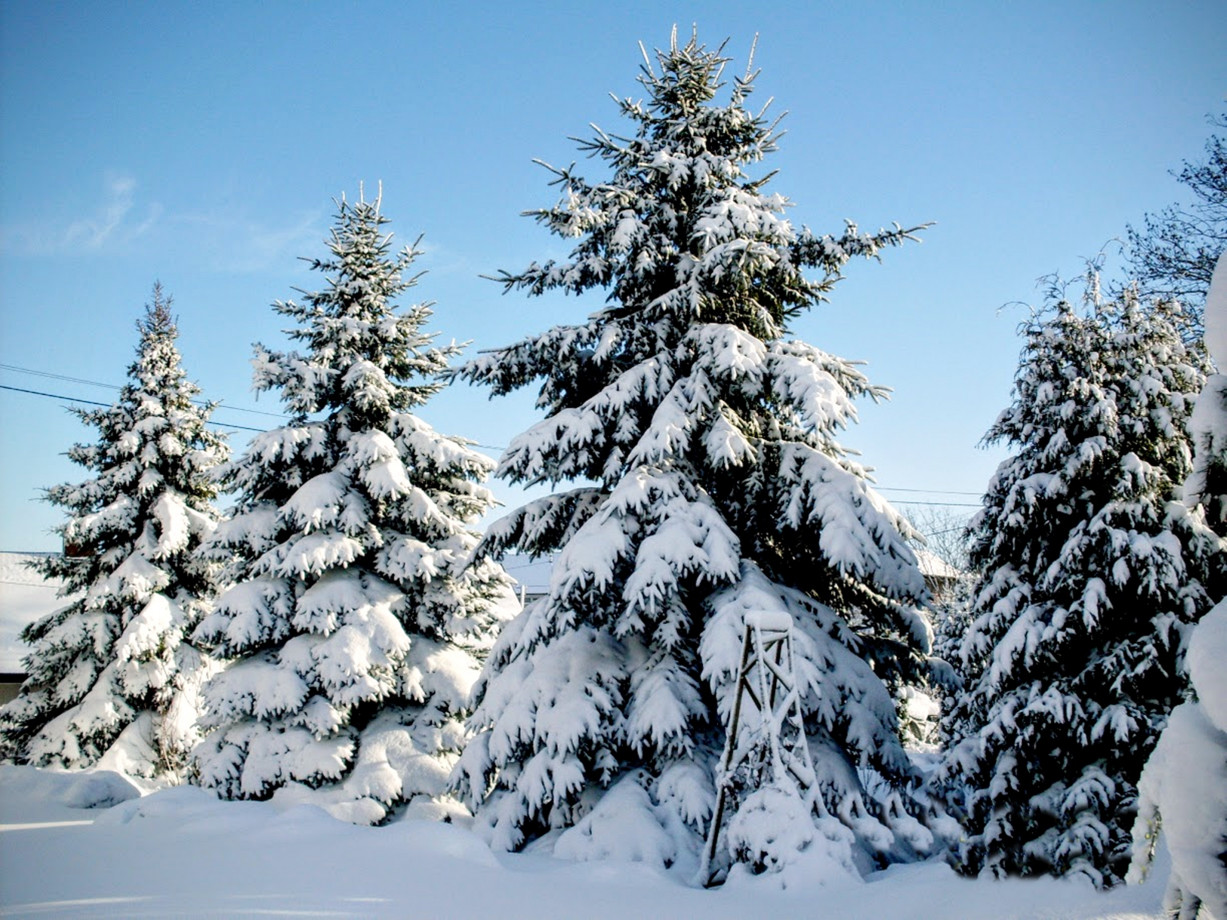 fotograf biskupiec agnieszka-lubowicka portfolio zimowe sesje zdjeciowe zima snieg