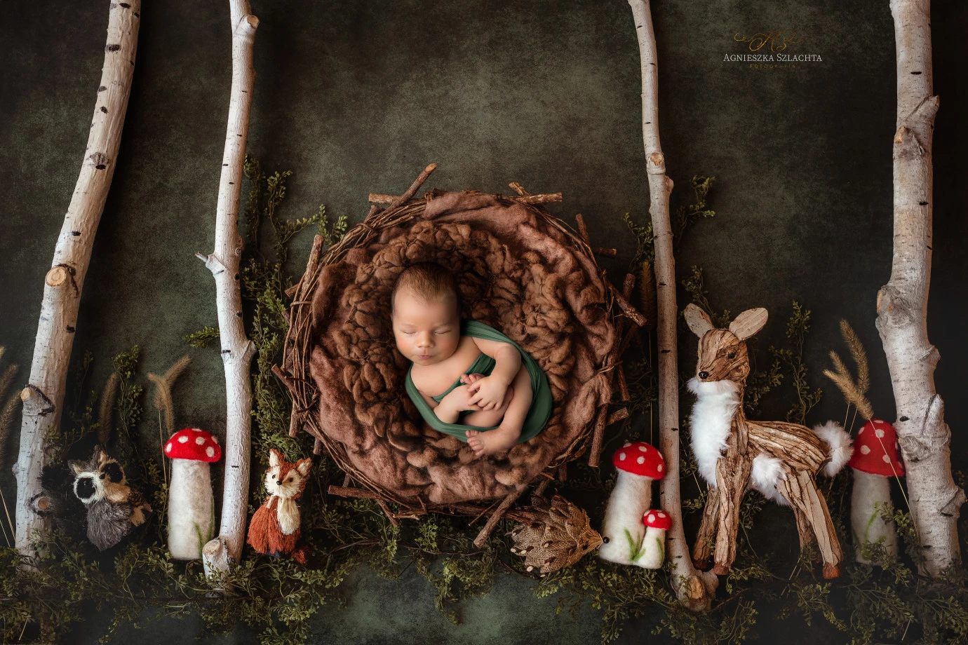 zdjęcia szczecin fotograf agnieszka-szlachta-fotografia portfolio zdjecia noworodkow sesje noworodkowe