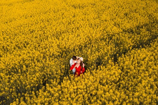 zdjecia  fotograf andrzej-pala-fotografia-kreatywna portfolio wiosenne-sesje-zdjeciowe laka fotografia roslina kwiat rolnictwo naturalny-krajobraz