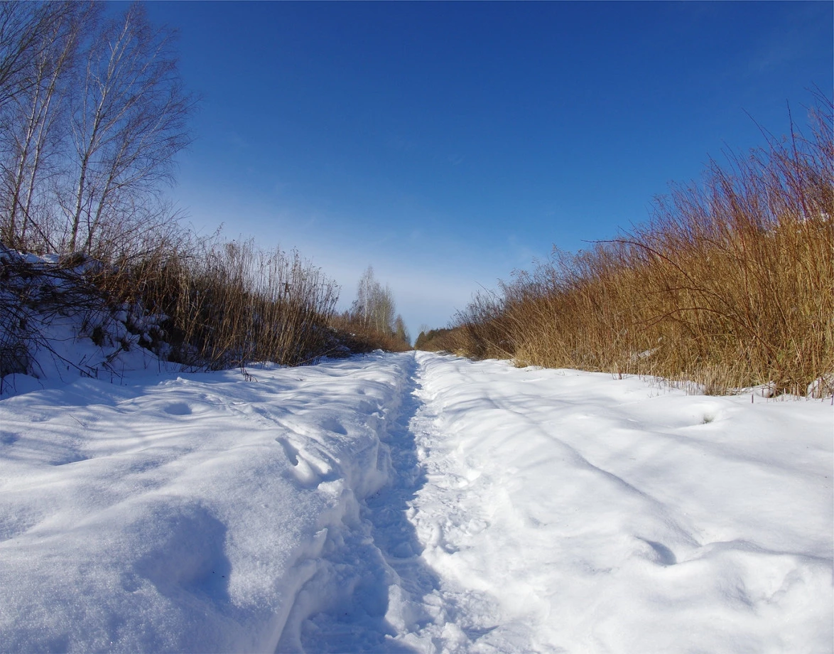 fotograf koszalin andrzej-rybicki portfolio zimowe sesje zdjeciowe zima snieg