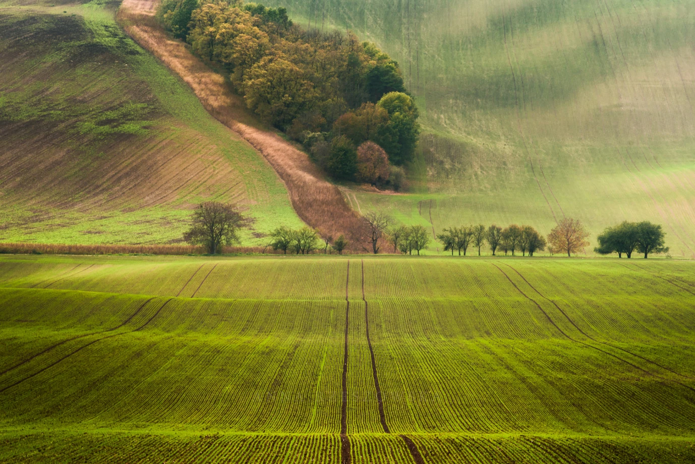zdjęcia katowice fotograf anna-rzeszowska portfolio zdjecia krajobrazu gory mazury