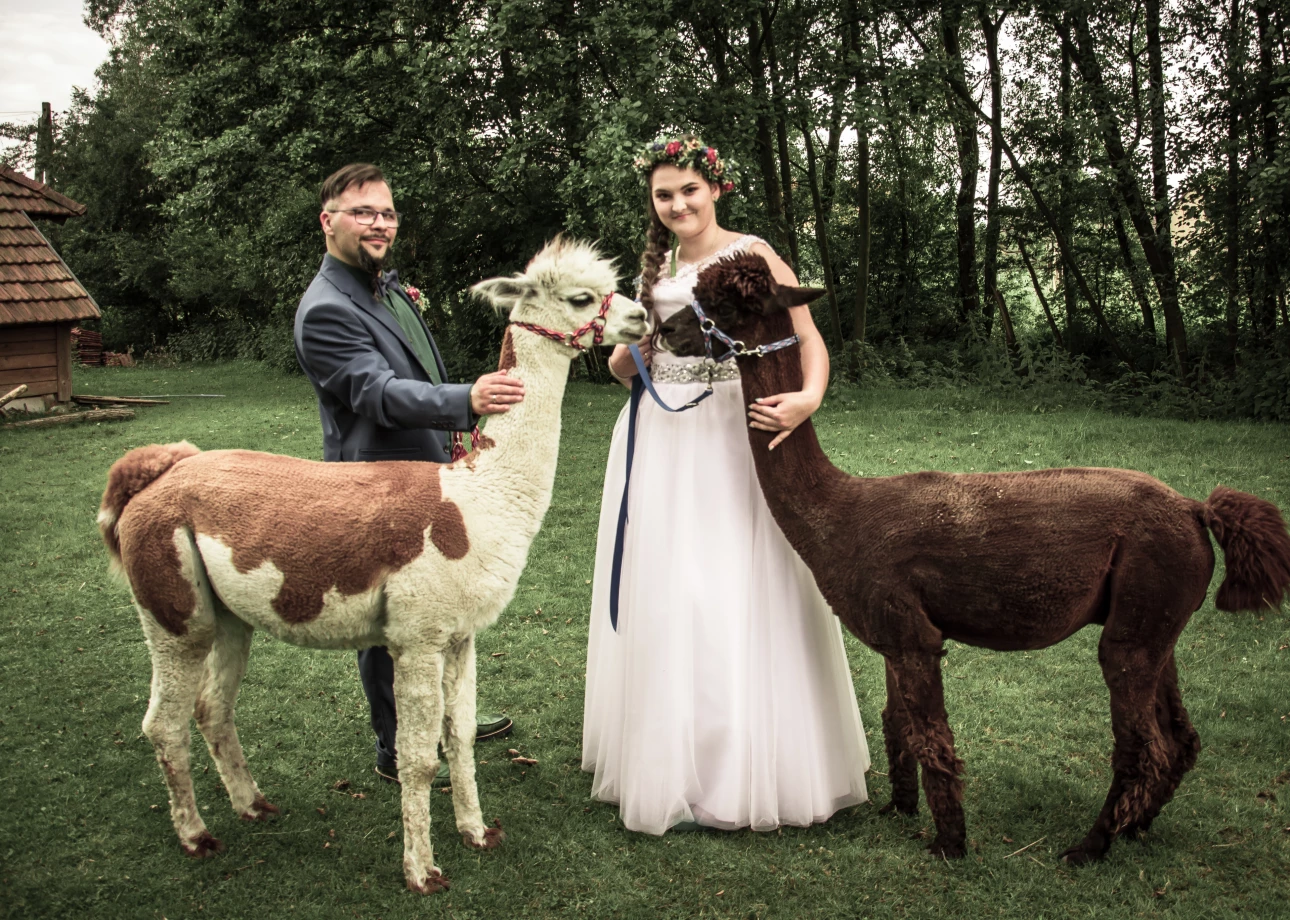 zdjęcia krakow fotograf anna portfolio zdjecia slubne inspiracje wesele plener slubny sesja slubna