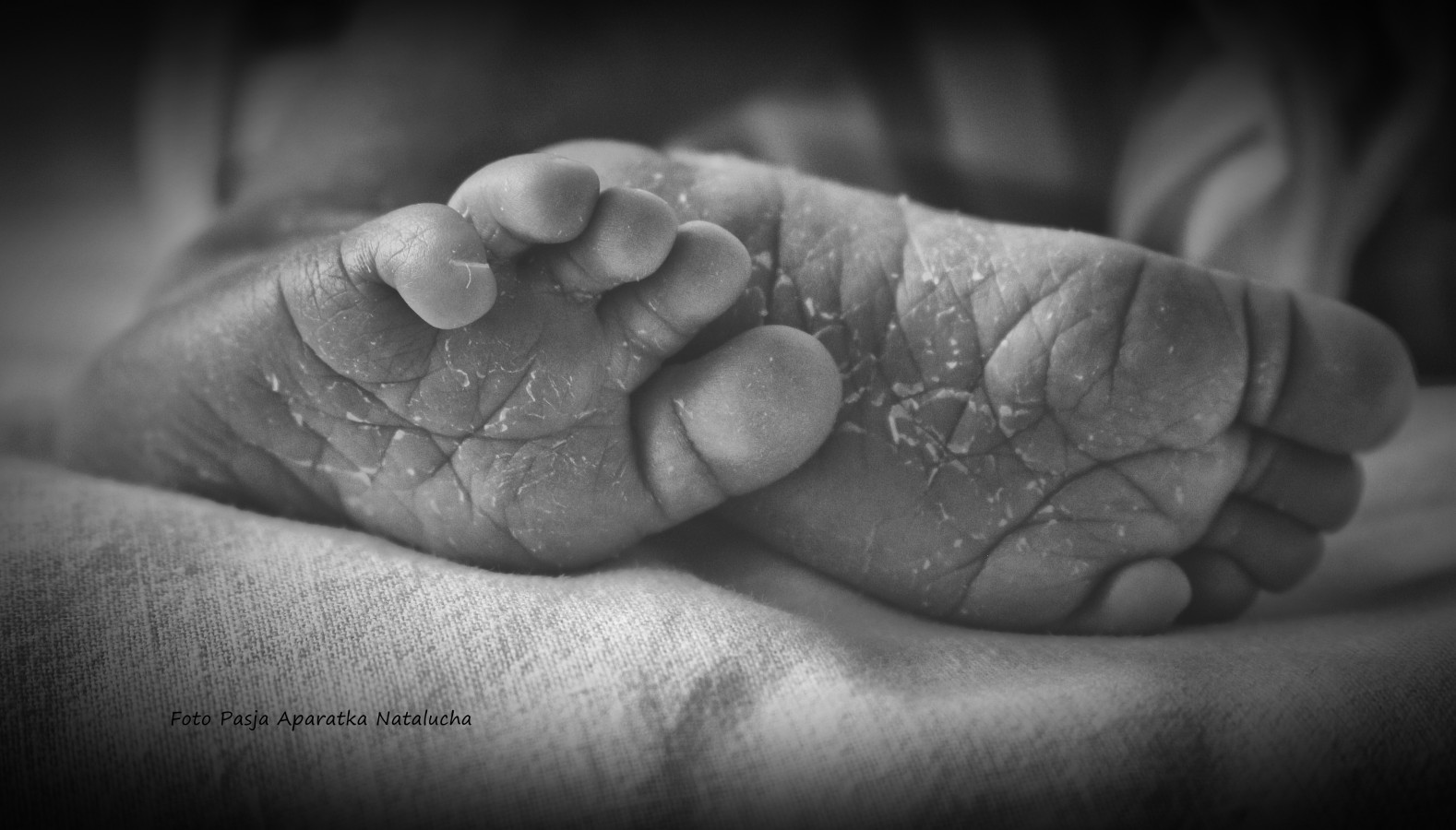 fotograf hannover aparatka-natalucha portfolio zdjecia noworodkow sesje noworodkowe niemowlę