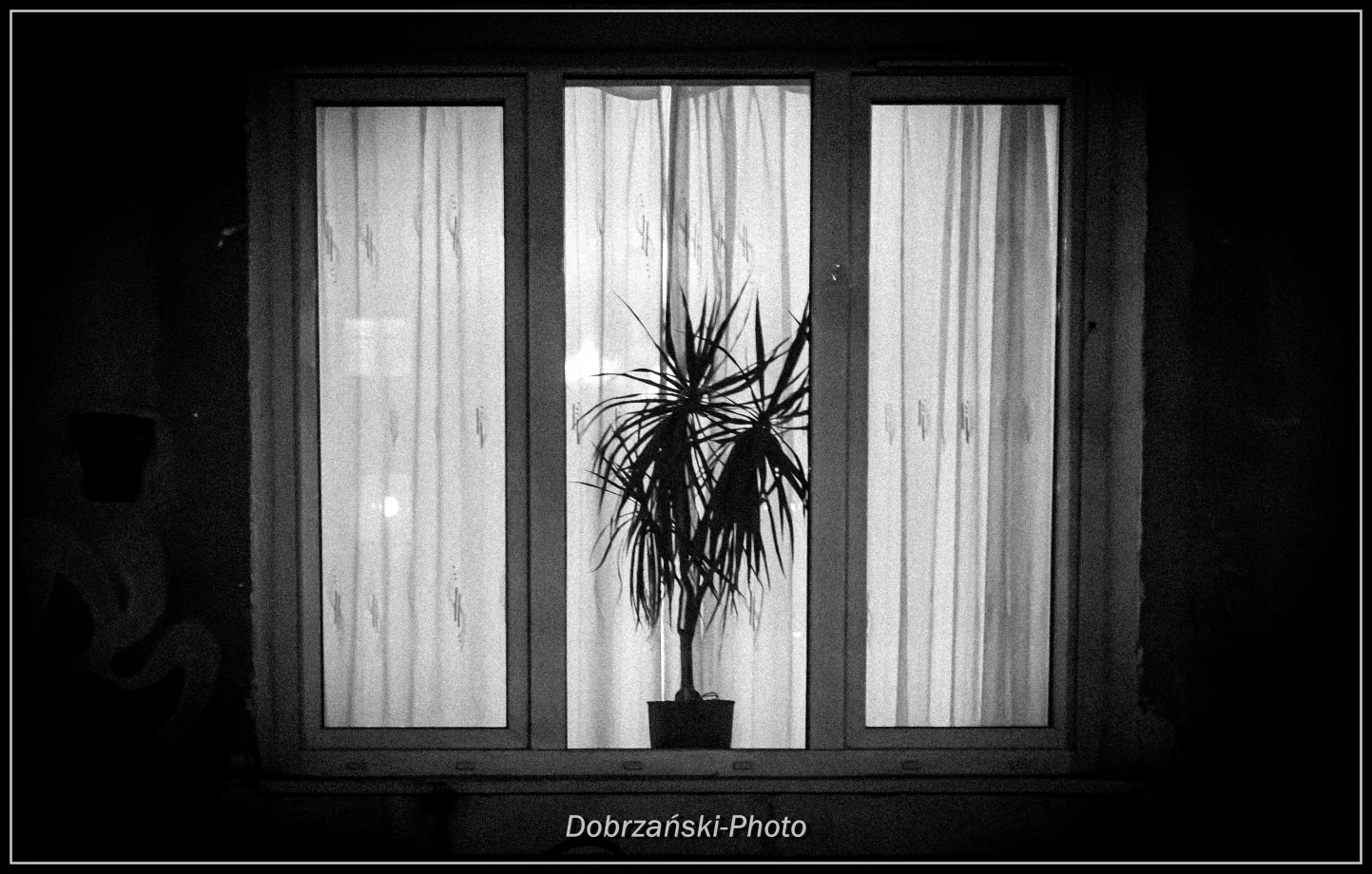 fotograf warszawa dobrzanskiphoto portfolio zdjecia artystyczne fotografia artystyczna 