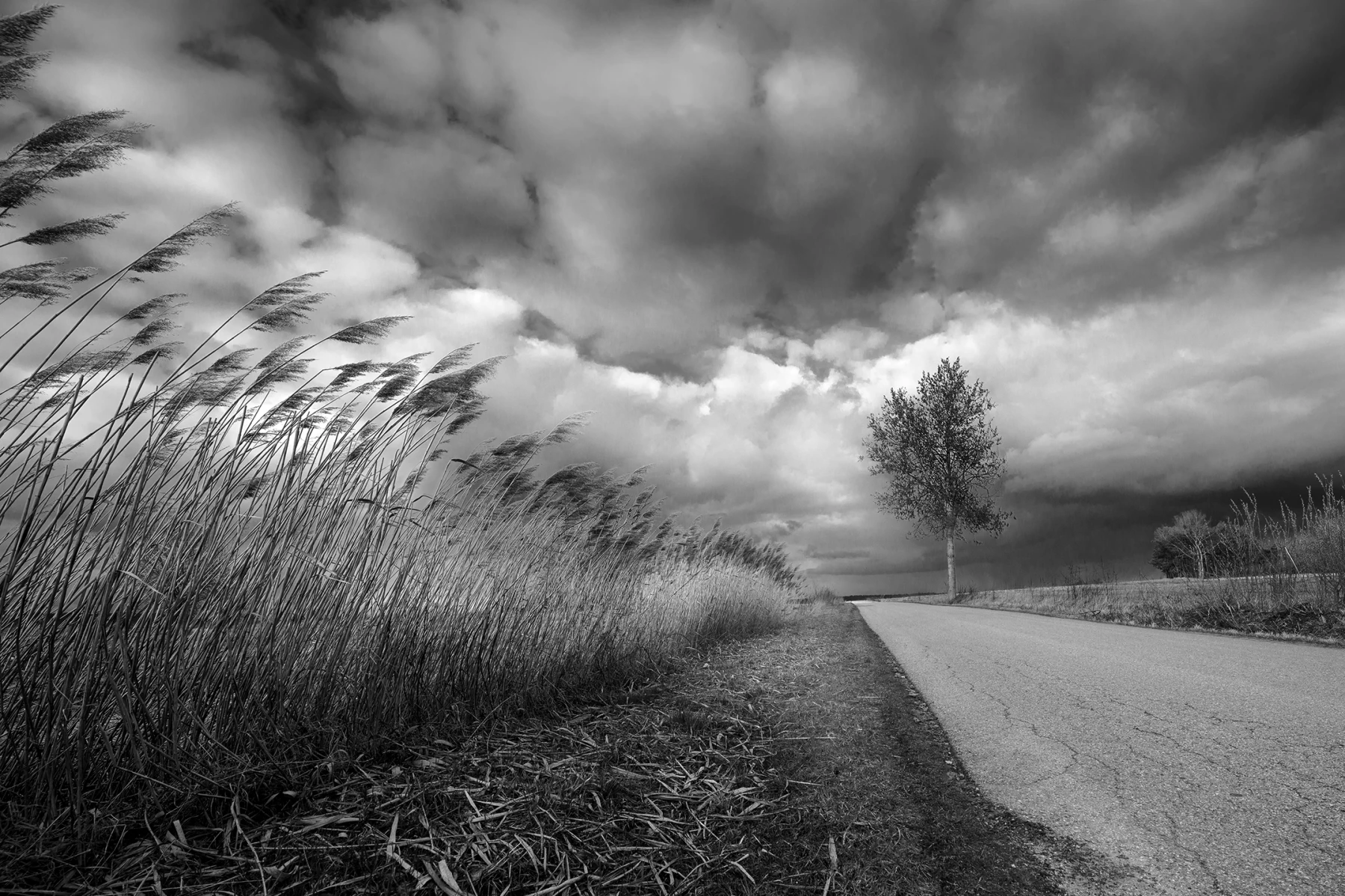 zdjecia kielce fotograf foto-molly portfolio fotografia-artystyczna