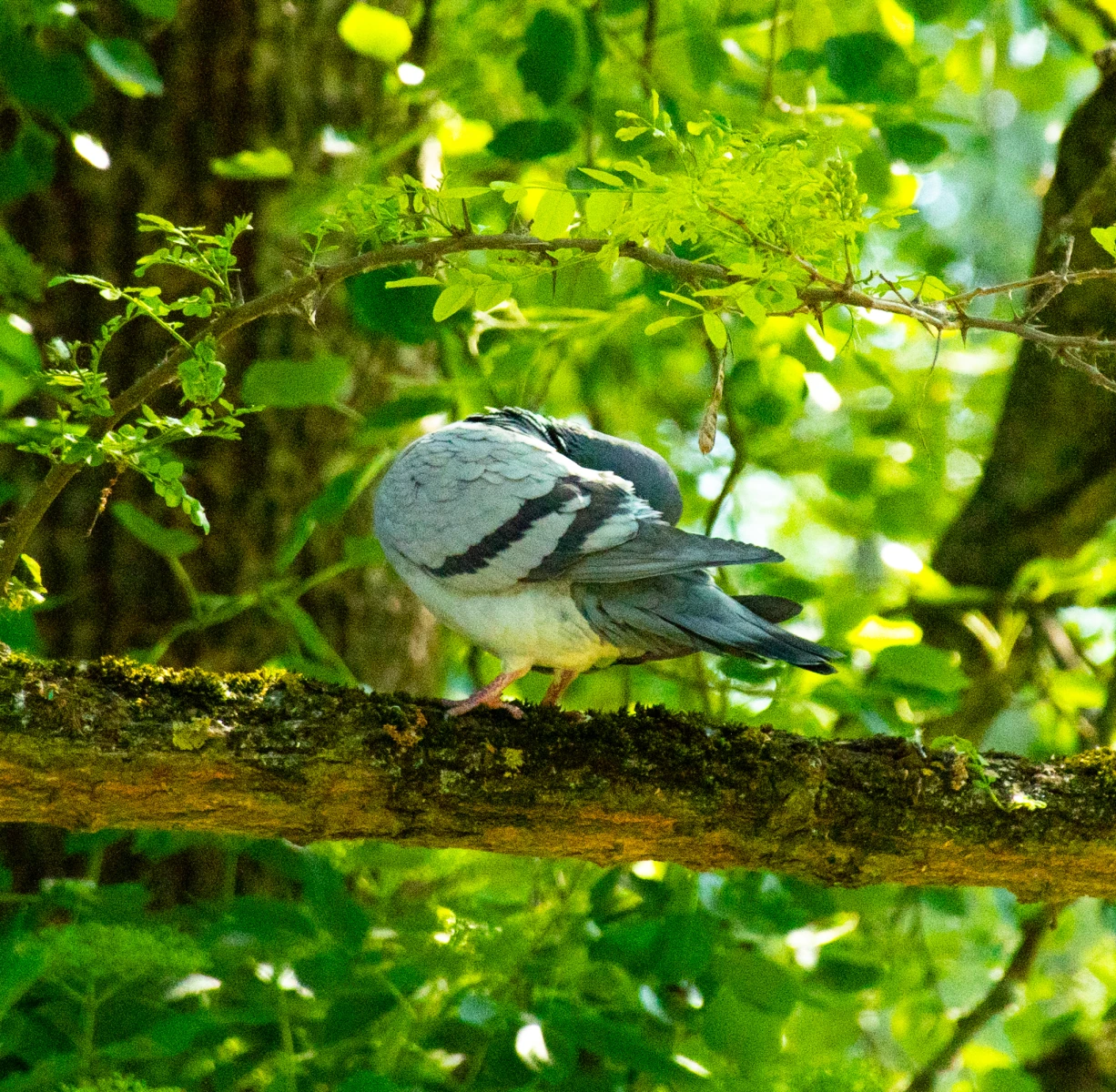 zdjęcia torun fotograf gotografia-md portfolio natura