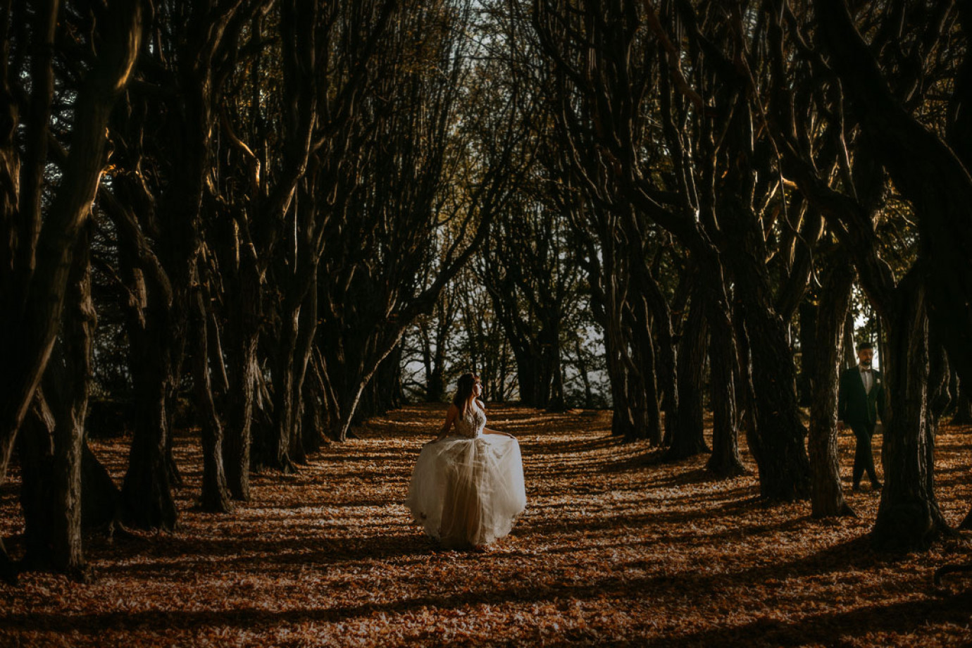 zdjęcia katowice fotograf jacek-blaumann-fotografia portfolio zdjecia slubne inspiracje wesele plener slubny sesja slubna