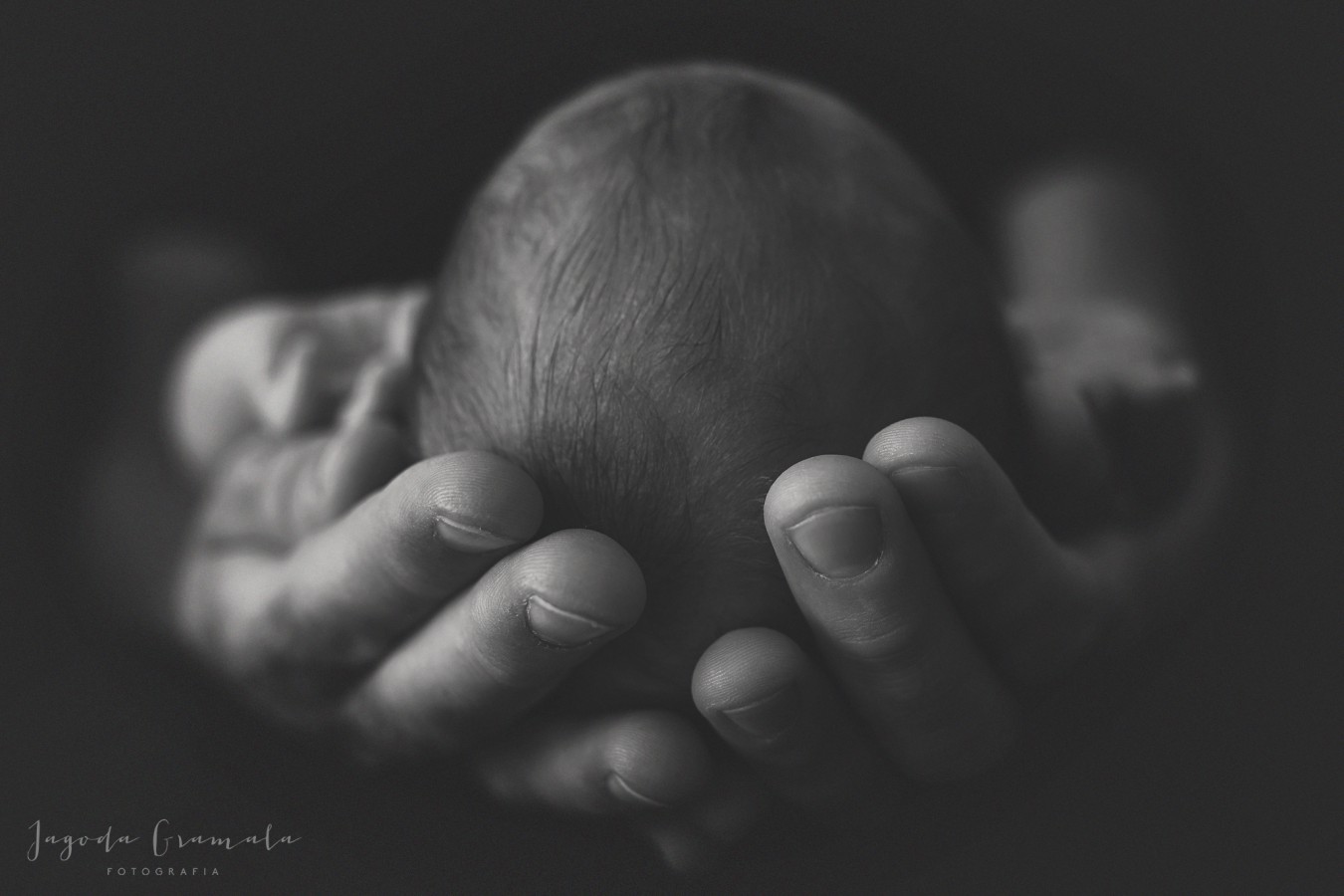 fotograf poznan jagoda-gramala-fotografia portfolio zdjecia noworodkow sesje noworodkowe niemowlę