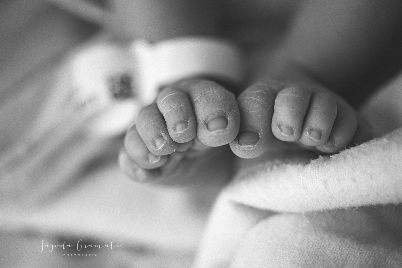 zdjęcia poznan fotograf jagoda-gramala-fotografia portfolio zdjecia noworodkow sesje noworodkowe niemowlę