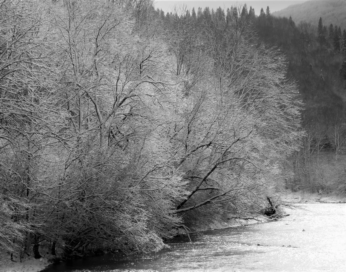 fotograf warszawa joanna-kessler portfolio zimowe sesje zdjeciowe zima snieg