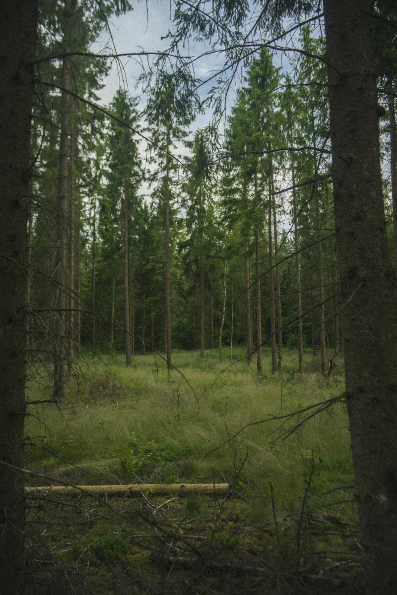 zdjęcia trojmiasto fotograf kacper-sowinski portfolio fotografia-krajobrazowa