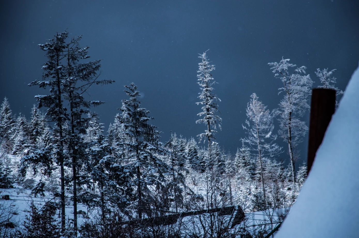 zdjęcia pulawy fotograf karolina-brzezinska portfolio zdjecia krajobrazu gory mazury