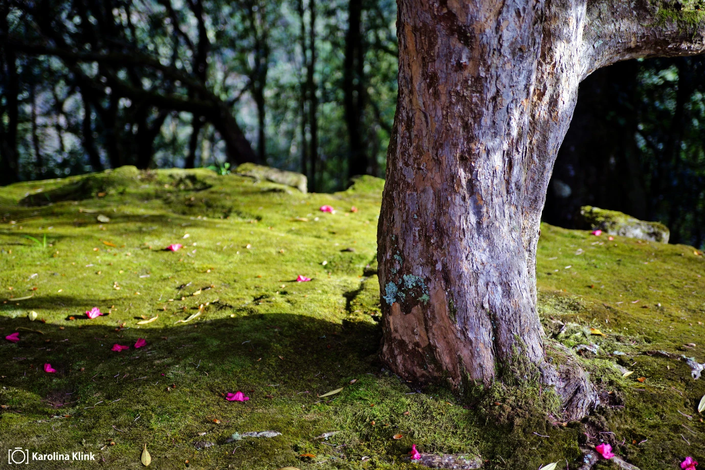 zdjęcia  fotograf karolina-klink portfolio zdjecia krajobrazu gory mazury