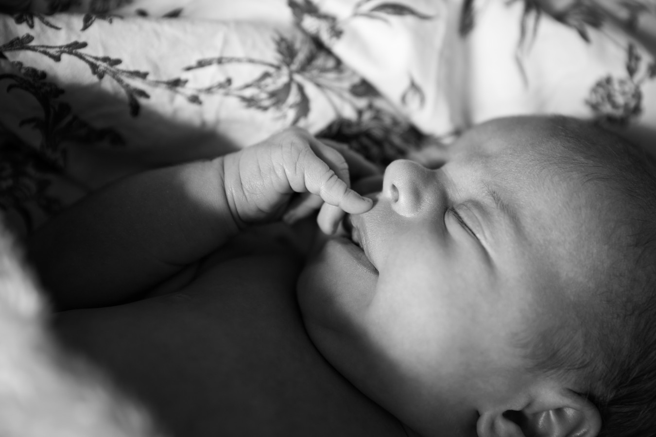fotograf sulejowek kasia-makulec portfolio zdjecia noworodkow sesje noworodkowe niemowlę