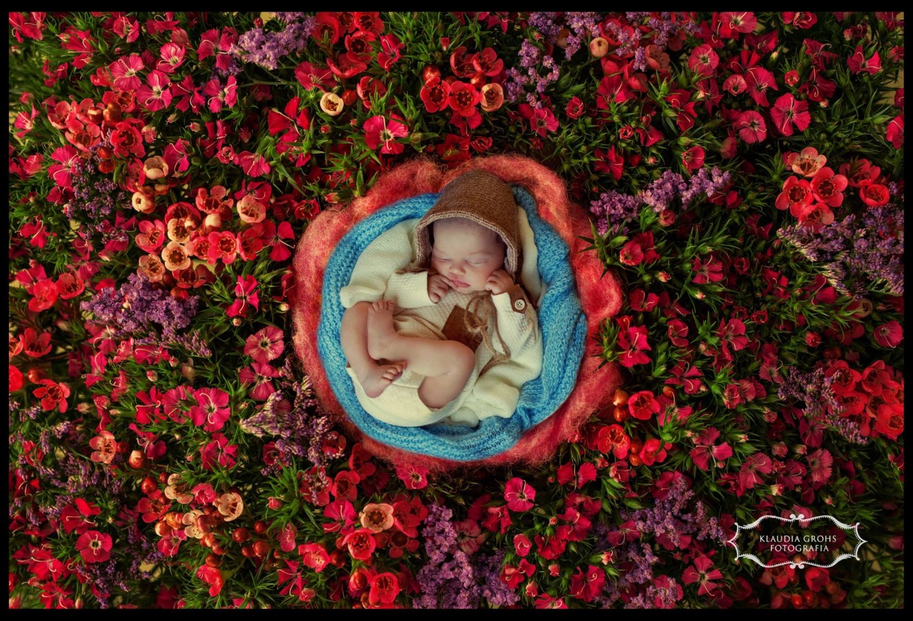 fotograf gdynia klaudia-grohs-fotografia portfolio zdjecia noworodkow sesje noworodkowe niemowlę