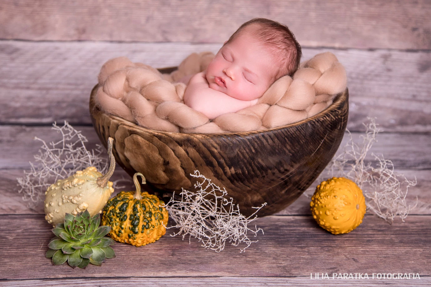 fotograf lodz lilia-paratka portfolio zdjecia zdjecia noworodkow sesje noworodkowe niemowlę