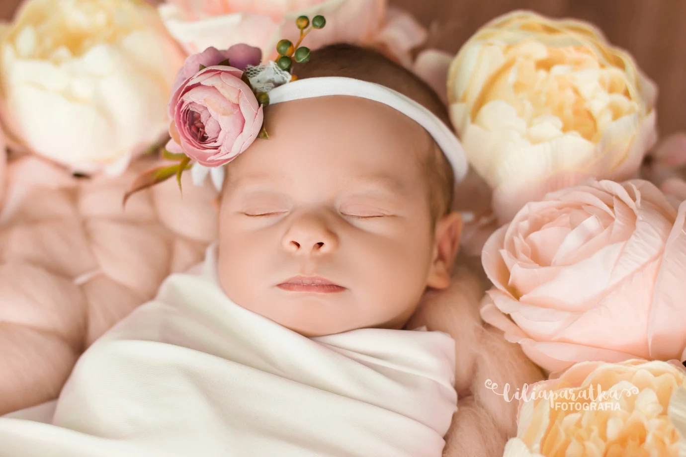 fotograf lodz lilia-paratka portfolio zdjecia noworodkow sesje noworodkowe niemowlę