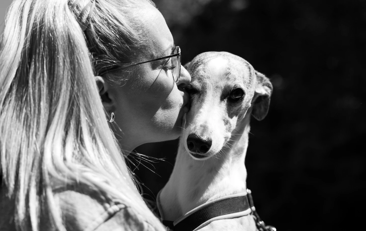 zdjecia katowice fotograf lilianna-janicka-fotografia-artystyczna portfolio zwierzat