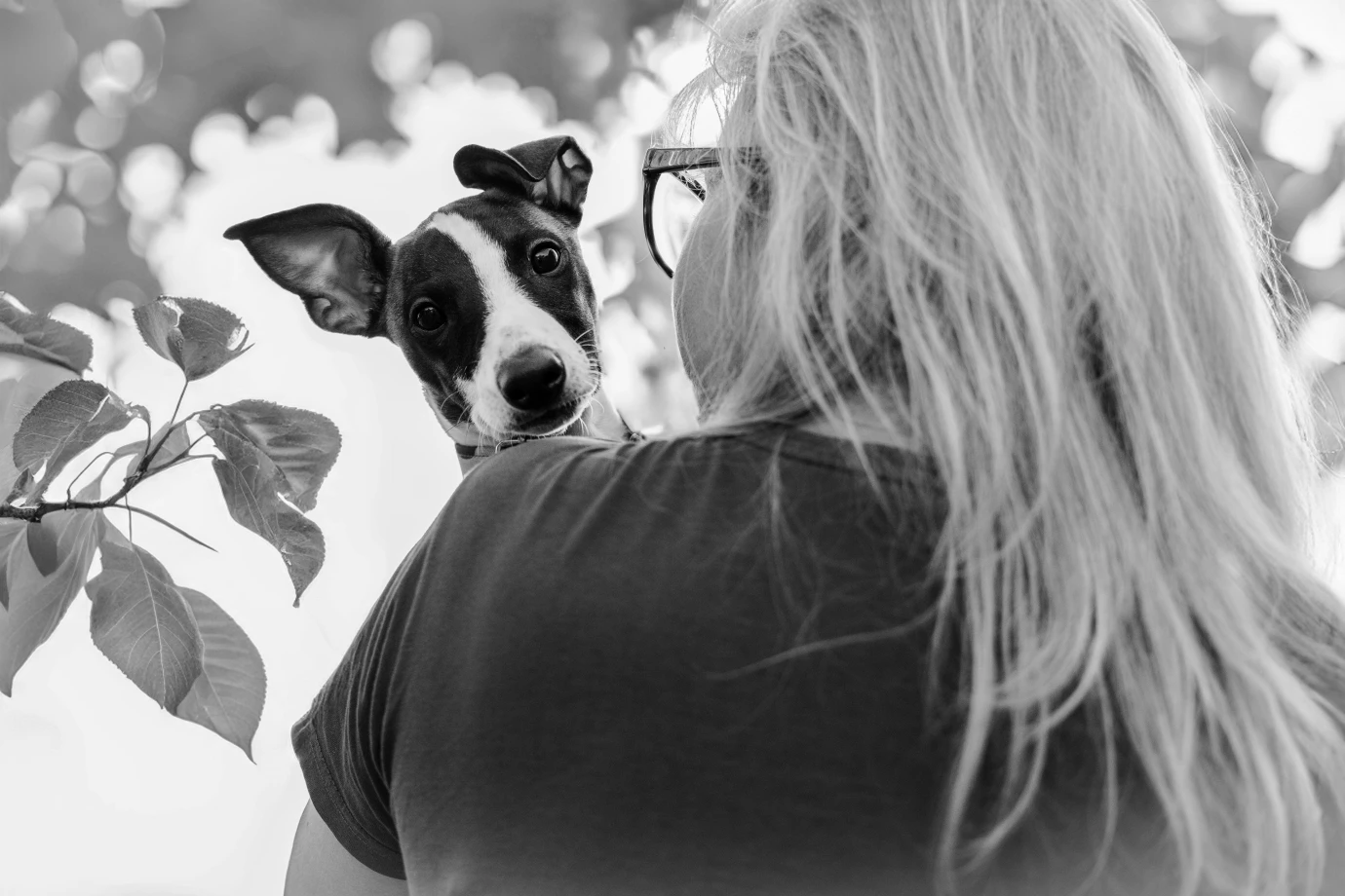 zdjecia katowice fotograf lilianna-janicka-fotografia-artystyczna portfolio zwierzat