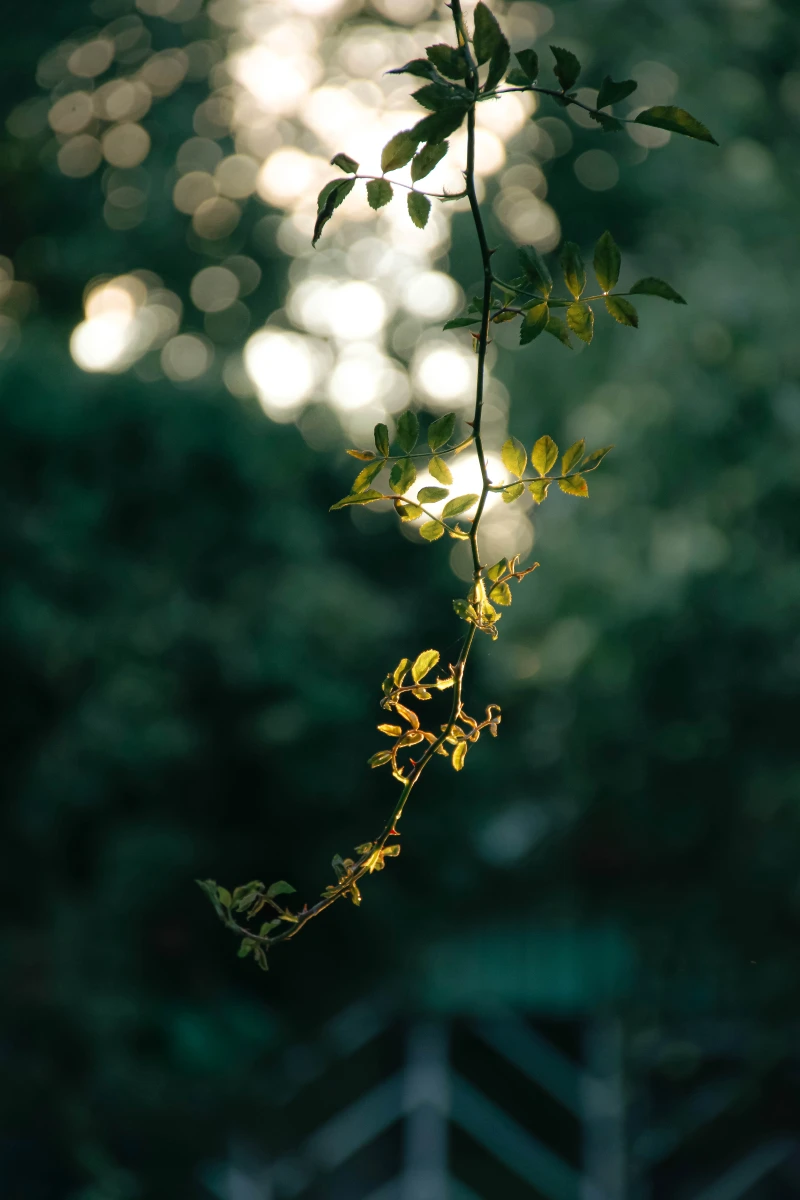 zdjęcia bialystok fotograf maria-wojcyk portfolio fotografia-krajobrazowa