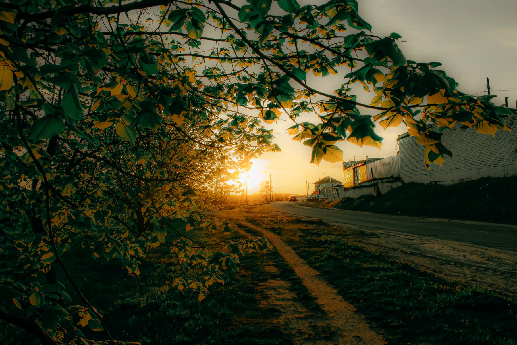 zdjęcia bialystok fotograf maria-wojcyk portfolio fotografia-reportazowa