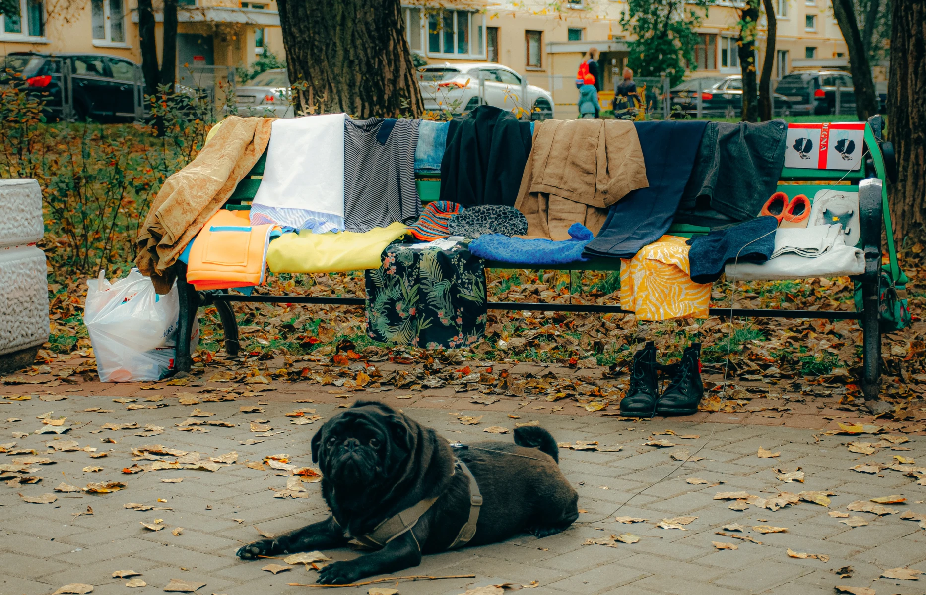 zdjęcia bialystok fotograf maria-wojcyk portfolio fotografia-reportazowa