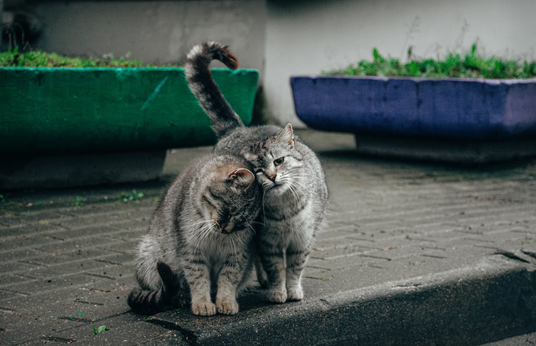 zdjęcia bialystok fotograf maria-wojcyk portfolio fotografia-reportazowa