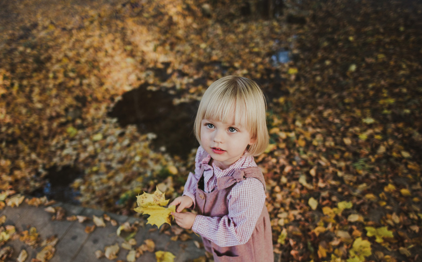 zdjęcia krakow fotograf mariola-suder portfolio sesje dzieciece fotografia dziecieca sesja urodzinowa