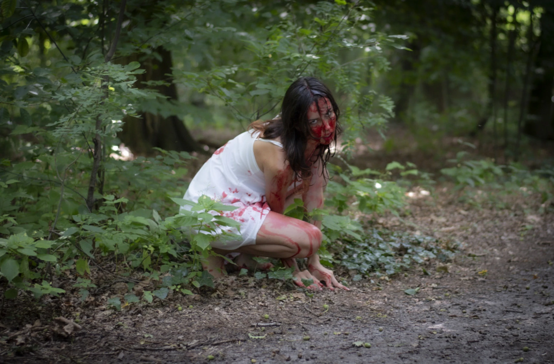 zdjęcia warszawa fotograf miroslaw-wisniewski portfolio halloween