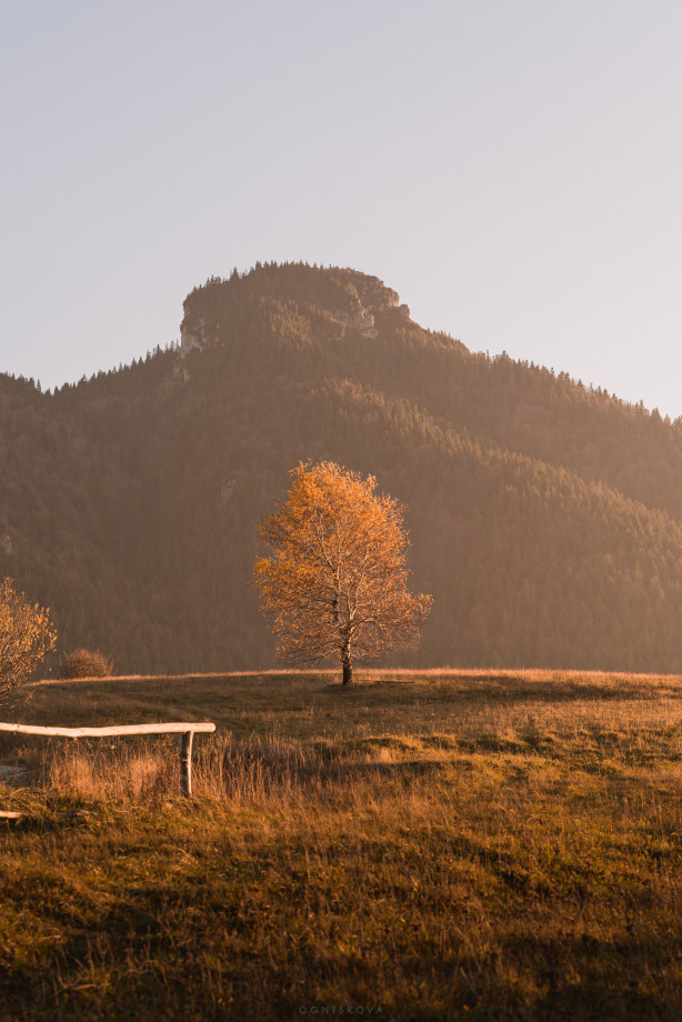 fotograf  ogniskova portfolio zdjecia krajobrazu gory mazury
