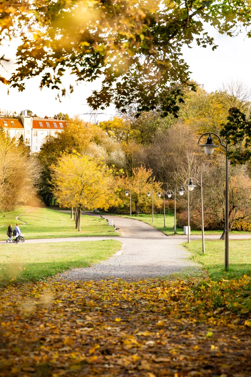 zdjęcia szczecin fotograf ola-sieprawska portfolio sesja-rodzinna
