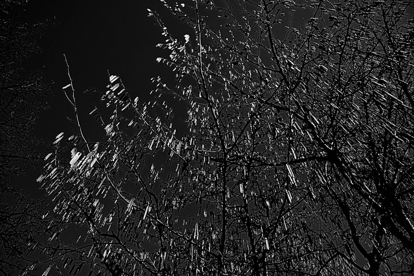 zdjęcia wroclaw fotograf oliwia-zahorodna portfolio zdjecia black white czarno biale