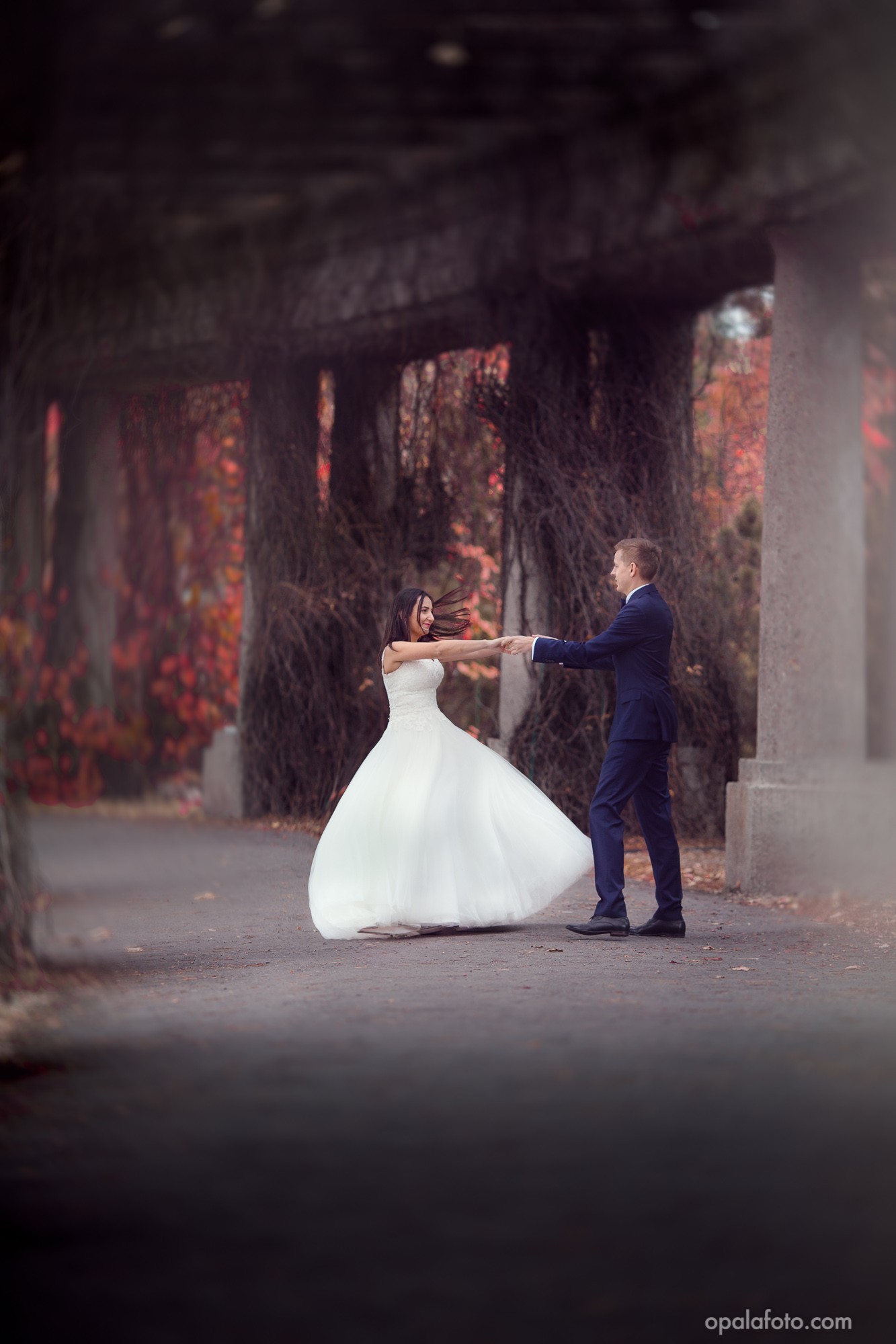 zdjęcia wroclaw fotograf opalafotocom portfolio zdjecia slubne inspiracje wesele plener slubny sesja slubna