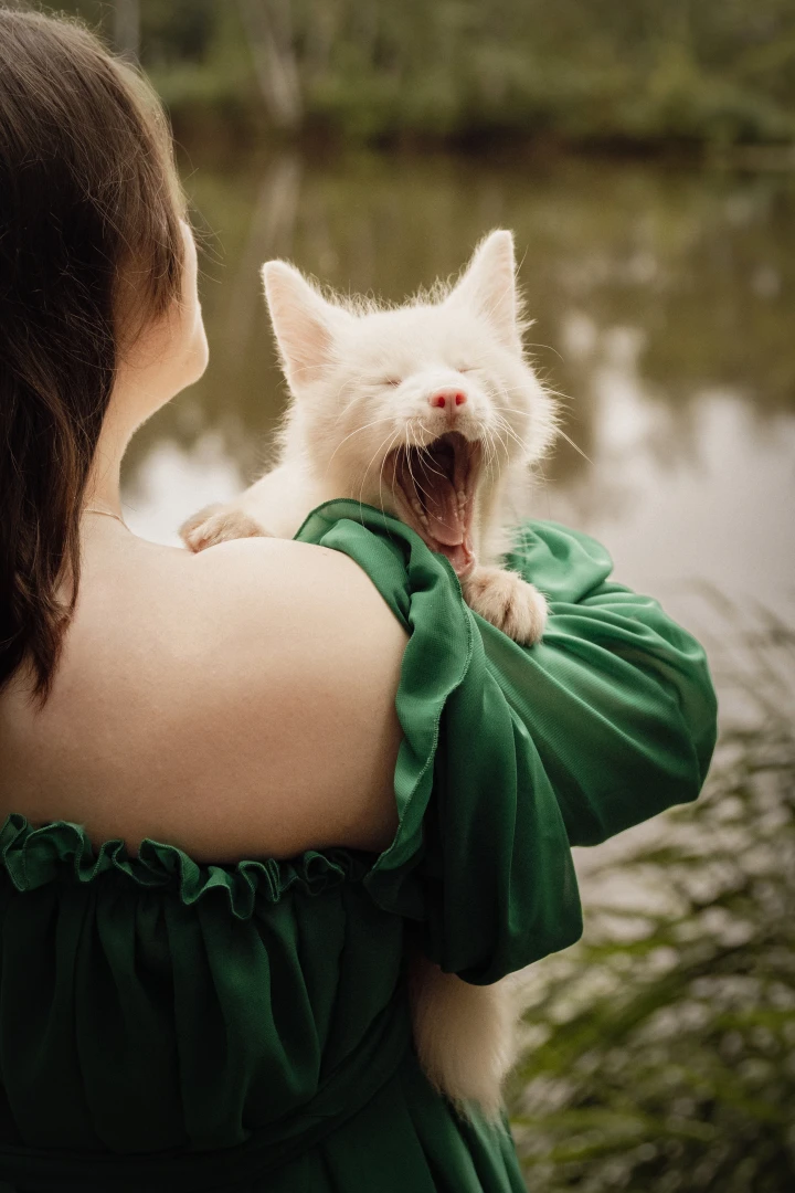 zdjęcia bielsko-biala fotograf paulina-stanco portfolio portret