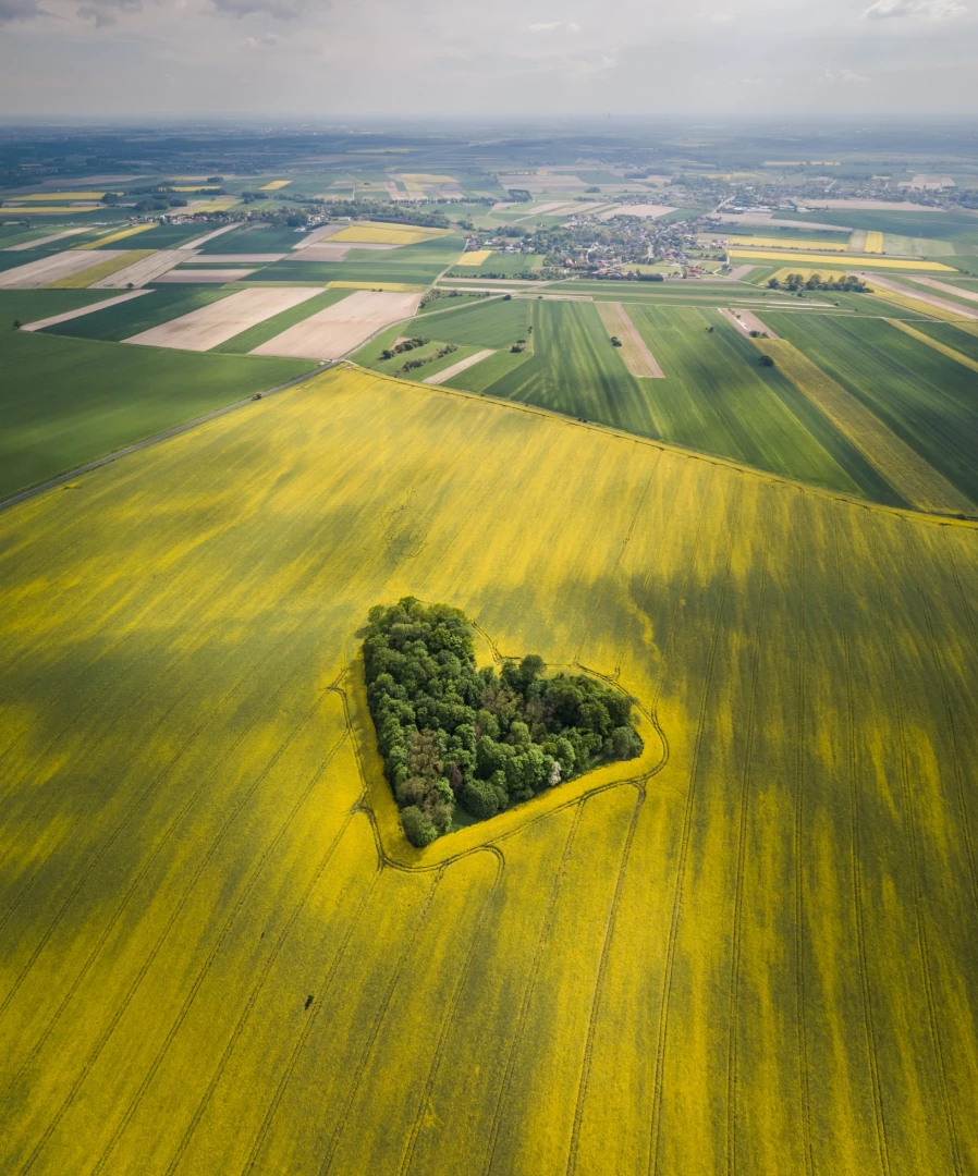 zdjęcia wroclaw fotograf pawel-rawski portfolio fotografia-dronowa-zdjecia-z-drona