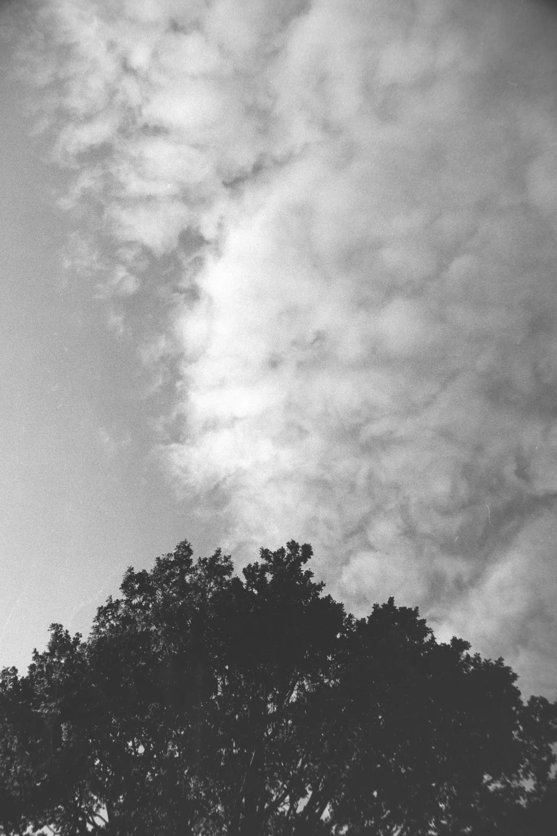 zdjecia przasnysz fotograf piotr-paczynski portfolio black-and-white