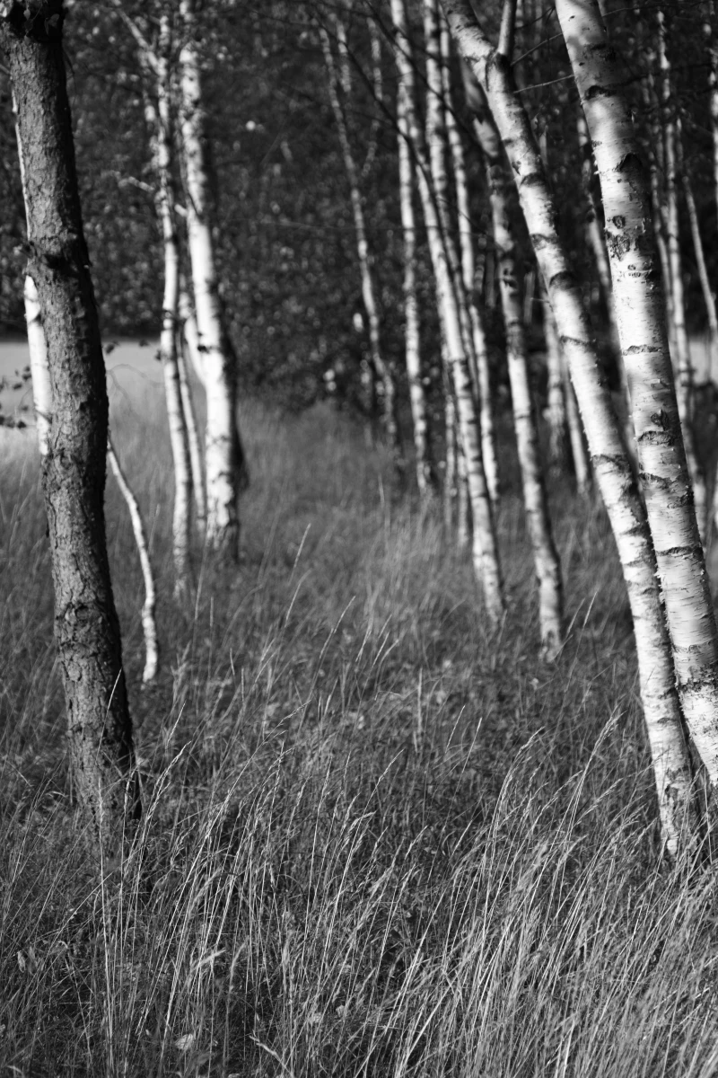 zdjecia przasnysz fotograf piotr-paczynski portfolio black-and-white