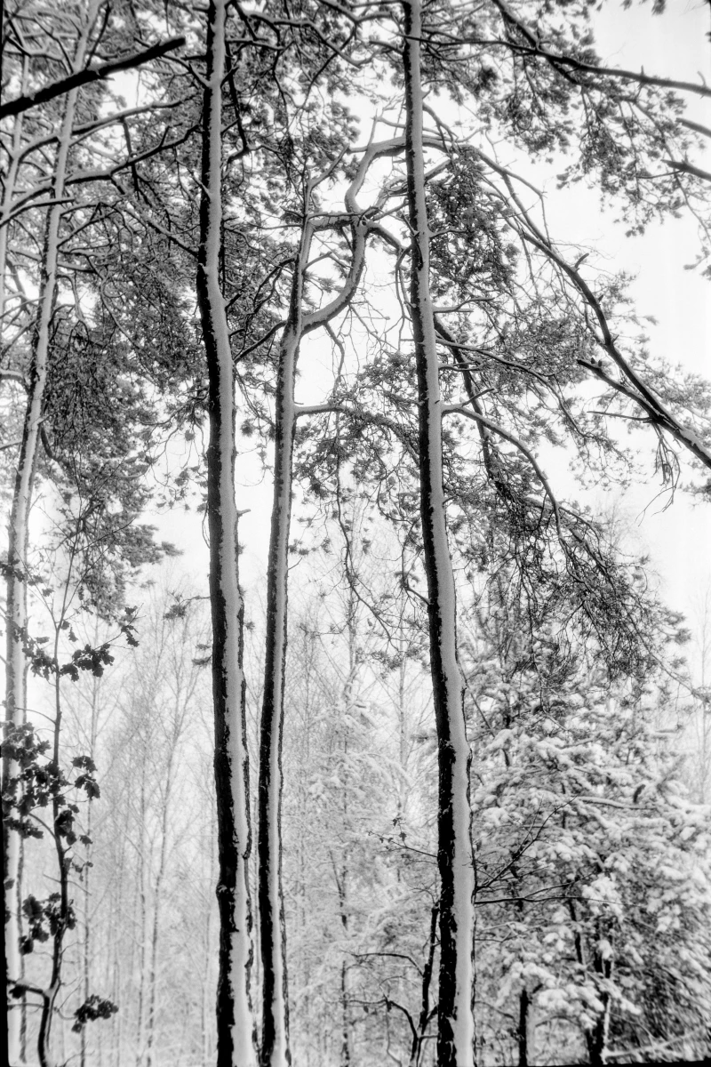 zdjecia przasnysz fotograf piotr-paczynski portfolio black-and-white