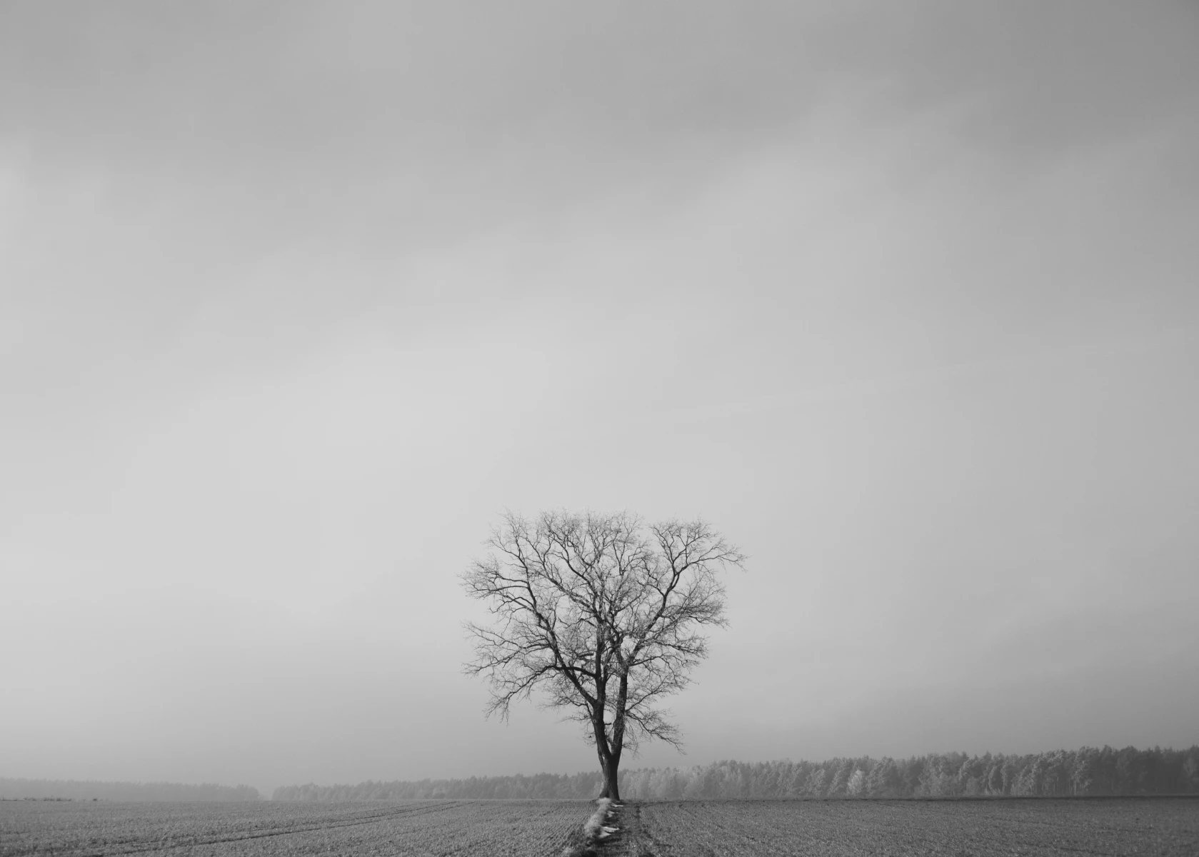 zdjecia przasnysz fotograf piotr-paczynski portfolio black-and-white