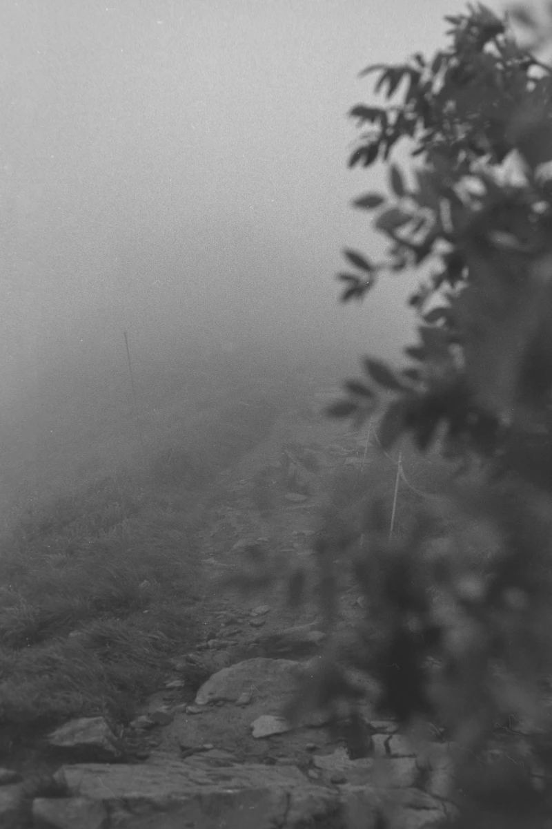zdjecia przasnysz fotograf piotr-paczynski portfolio black-and-white